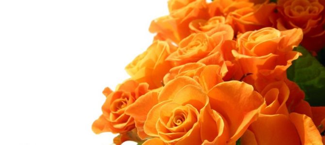 Att odla blommor