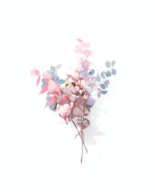 Blommor är en perfekt present att ge bort